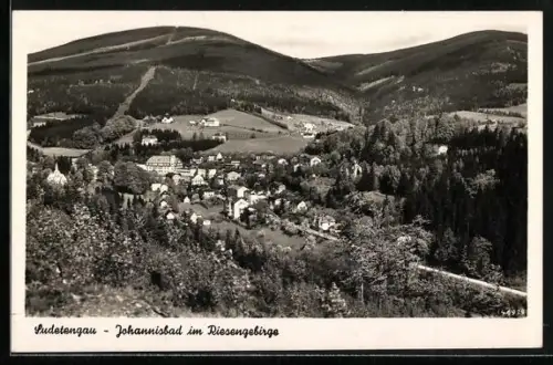 AK Johannisbad im Riesengebirge, Panorama mit Strassenpartie