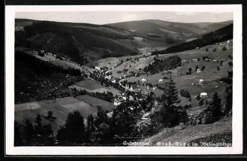 AK Gross-Aupa im Riesengebirge, Panorama mit Petzer