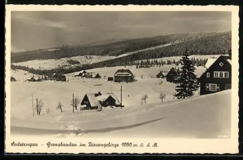 AK Grenzbauden im Riesengebirge im Schnee