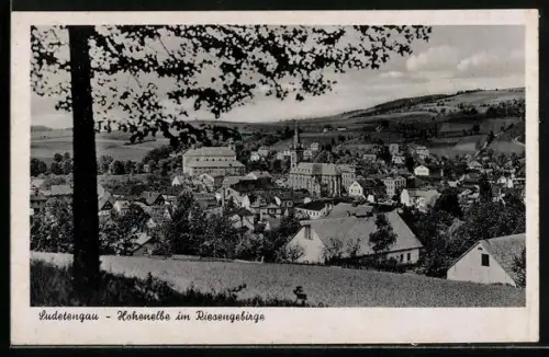 AK Hohenelbe im Risengebirge, Panorama mit Kirche