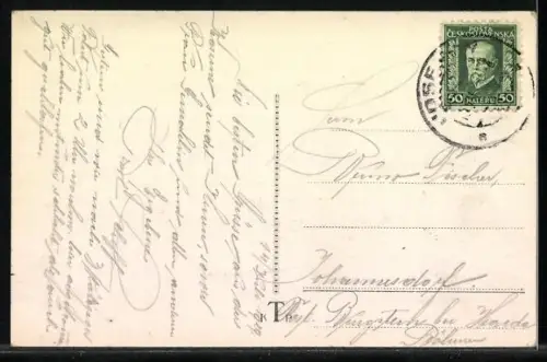 AK Josefov, Ortspartie mit Schloss