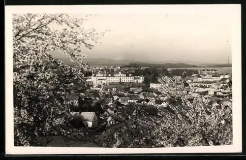 AK Rychnov n. Kn., Panorama mit Schloss