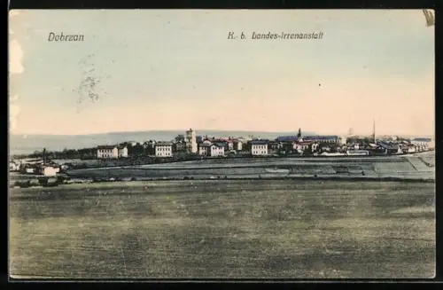 AK Dobrzan, K. b. Landes-Irrenanstalt