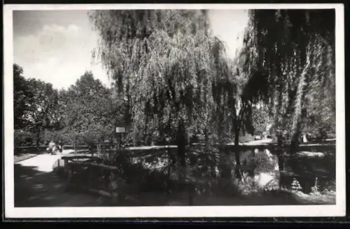 AK Mor. Ostrava, Cástecný pohled, Rybnik