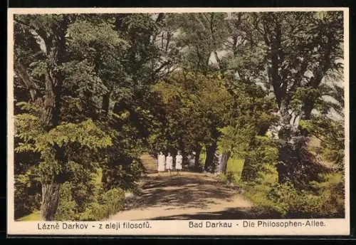 AK Bad Darkau, Blick in die Philosophen-Allee