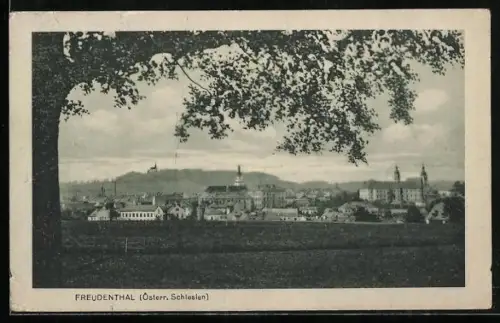 AK Freudenthal /Österr. Schlesien, Ortsansicht von der Feldflur aus