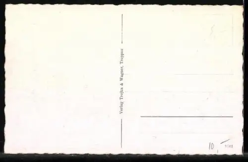 AK Troppau, Blick über die Dächer des Ortes