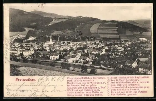AK Freiwaldau, Blick auf den Ort