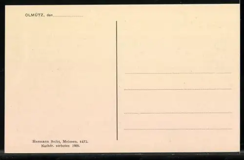 AK Olmütz, Ortsansicht mit Kirchen