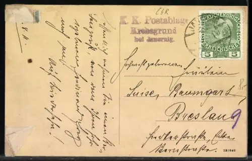 AK Jauernig /Oest. Schl., Teilansicht mit Burg