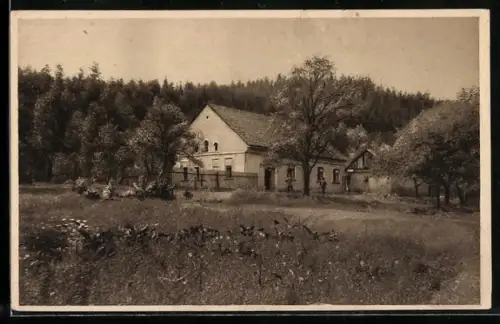 AK Olomouc, Ruzovy mlýn