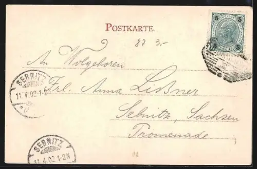 AK Tetschen, Ausblick auf Stadt und Fluss von der Schäferwand