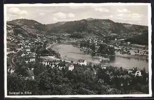 AK Salesel a. Elbe, Teilansicht mit Flusspartie