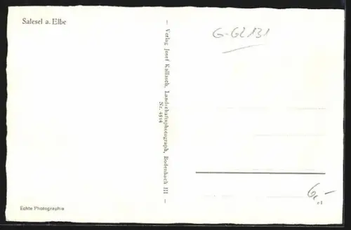 AK Salesel a. Elbe, Teilansicht mit Flusspartie