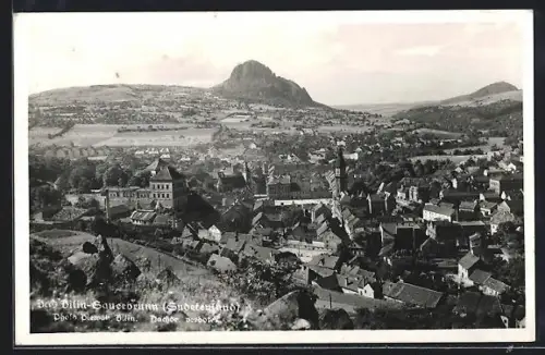 AK Bad Bilin-Sauerbrunn /Sudetenland, Blick über die Dächer der Stadt