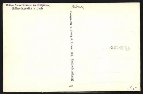 AK Bilin-Sauerbrunn in Böhmen, Blick auf die Ortschaft und ihre Umgebung