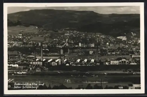AK Bodenbach a. Elbe, Blick auf die Stadt mit hohem Schneeberg im Hintergrund