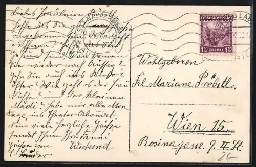 AK Aussig a. E., Uferpartie mit Brücke, Ferdinandshöhe