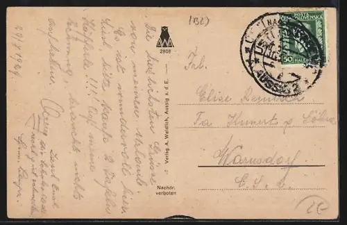 AK Aussig a. d. Elbe, Ferdinandshöhe mit Elbstrasse