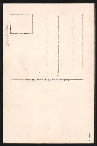 AK Leitmeritz / Litomerice, Strassenpartie mit altem Rathaus