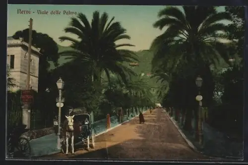 AK Nervi, Viale delle Palme