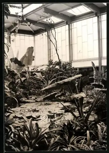 AK Tierpark, Alfred-Brehm-Haus, Tropenhalle