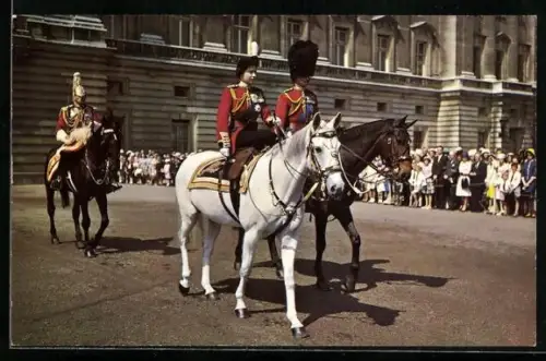 AK The Queen and H.R.H. Prince Philip von England mit Pferden