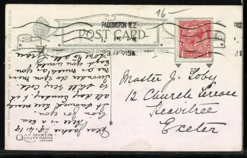 AK Seelöwin mit Jungem auf einer Eisscholle