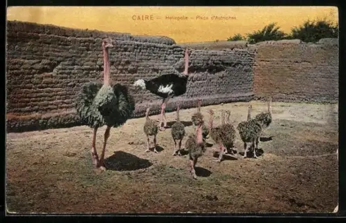 AK Caire, Heliopolis, Place d` Autriches