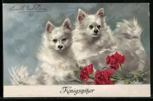 Künstler-AK Königsspitzer, Spitze und rote Nelken