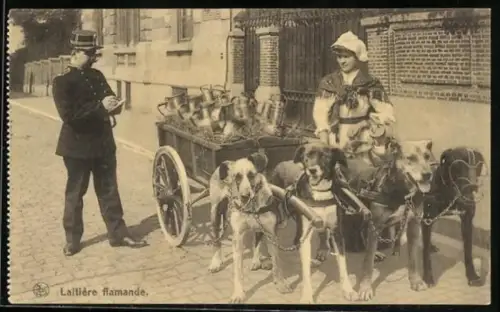 AK ein Hundekarren mit Milchkannen bekommt einen Strafzettel
