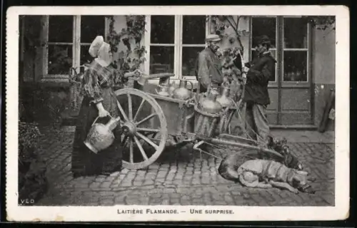 AK Laitière Flamande, Milchwagen mit Hundegespann