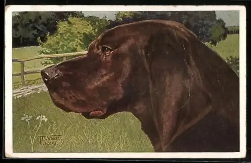 AK Der Kopf eines Jagdhundes