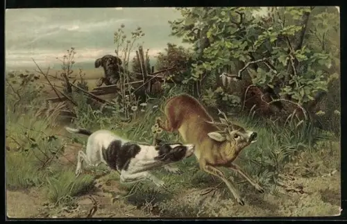 AK Jagdhund bei der Verfolgung eines Rehbockes