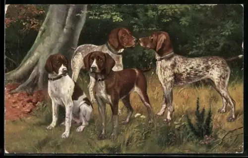 AK Vier Jagdhunde beschnüffeln sich am Waldrand
