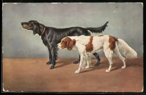 AK Jagdhunde warten aufs Herrchen