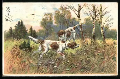 Künstler-AK Zwei Jagdhunde im Herbst