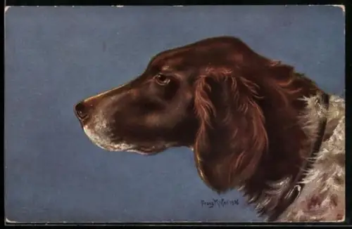 AK Jagdhund, Kopfportrait von der Seite