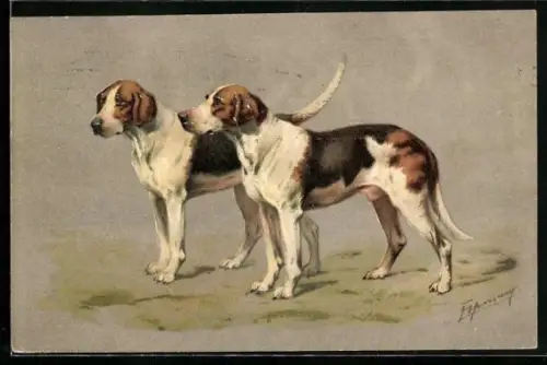 AK Zwei Jagdhunde im Profil