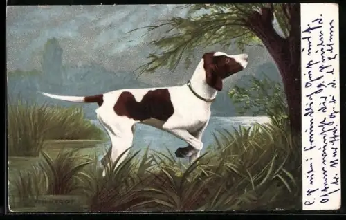 AK Jagdhund auf der Pirsch im Walde