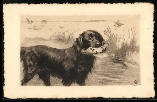 AK Jagdhund mit Federwild im Maul