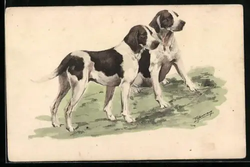 AK zwei Jagdhunde vor Beginn der Jagd