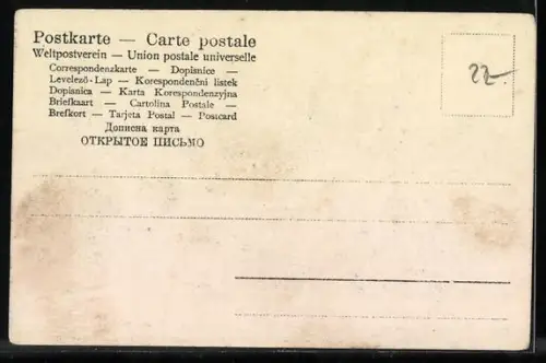 AK zwei Jagdhunde vor Beginn der Jagd