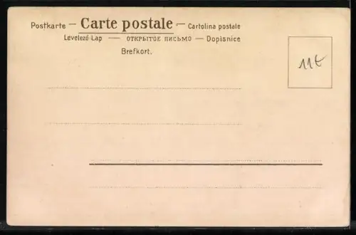 AK Hübscher Jagdhund auf einer Feldwiese