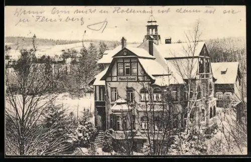 AK Bad Flinsberg im Isergebirge, Pension Haus Roland, Bes. Karl Theuser