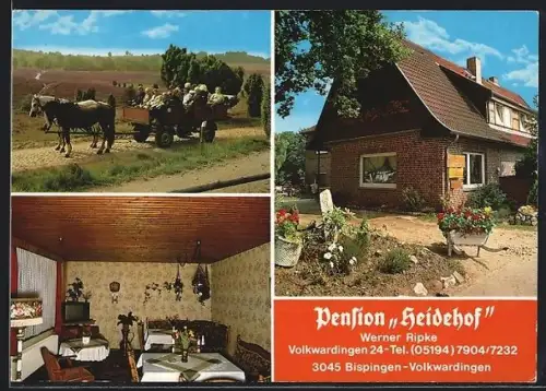 AK Bispingen-Volkwardingen, Pension Heidehof mit Kutsche, Exterieur und Interieur, Inh. Werner Ripke