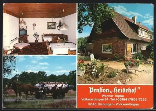 AK Bispingen-Volkwardingen, Pension Heidehof mit Kutsche, Inh. Werner Ripke