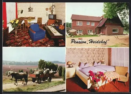 AK Bispingen-Volkwardingen, Pension Heidehof mit Kutsche, Exterieur und Interieur, Inh. Werner Ripke
