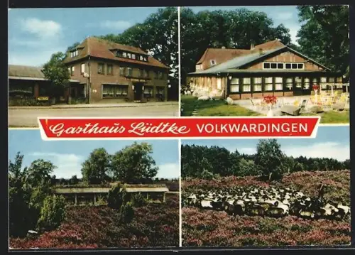 AK Volkwardingen üb. Soltau, Gasthaus Lüdtke mit Exterieur und Umgebung