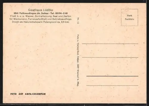AK Volkwardingen üb. Soltau, Gasthaus Lüdtke, Schafherde und Heide